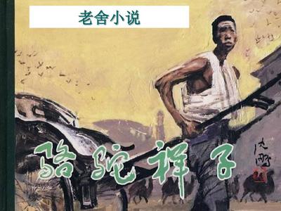 小雏鸟短视频幼儿版网页